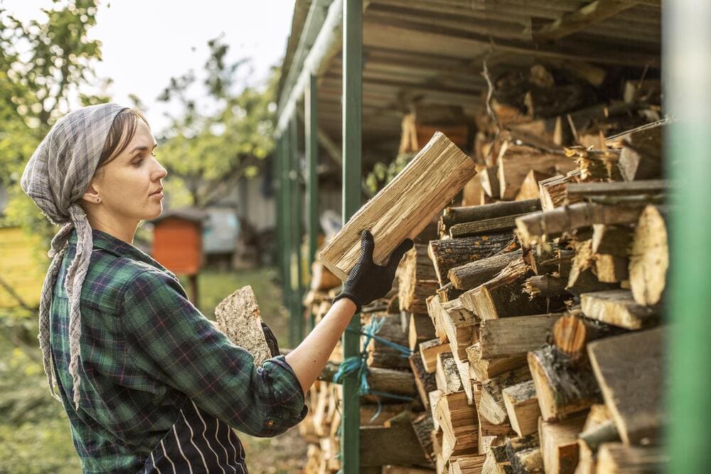 Выбираем дерево для бани: сравнение видов